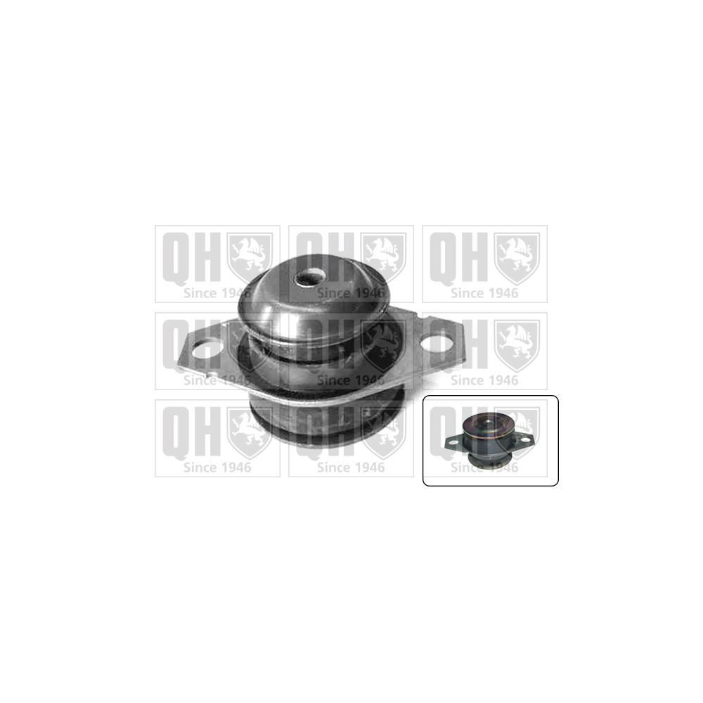 Image for QH EM4056 Engine Mounting