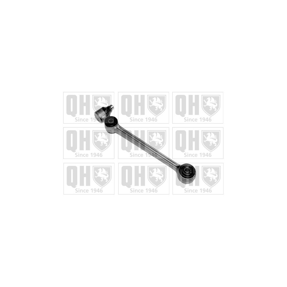 Image for QH QSJ798S Suspension Arm - Front Lower LH & RH