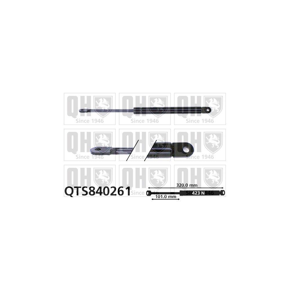 Image for QH QTS840261 Gas Spring