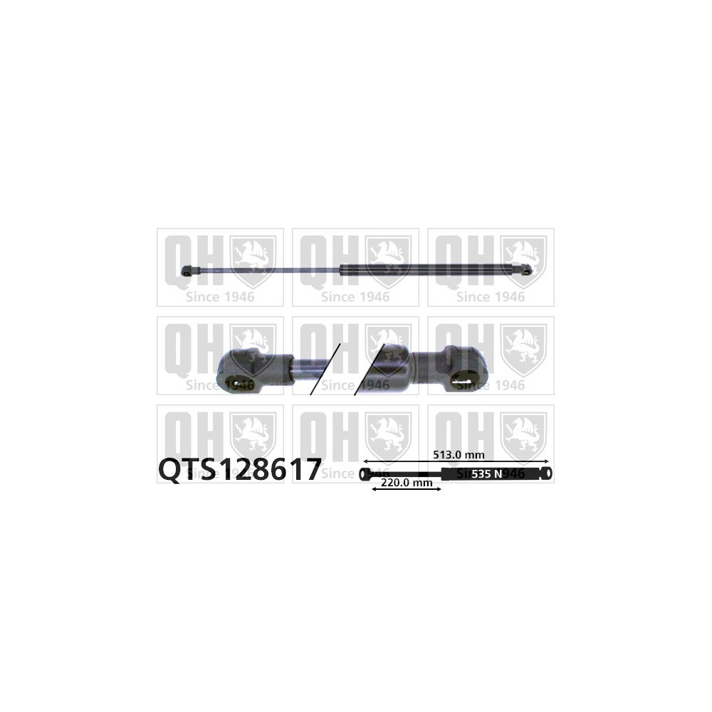 Image for QH QTS128617 Gas Spring