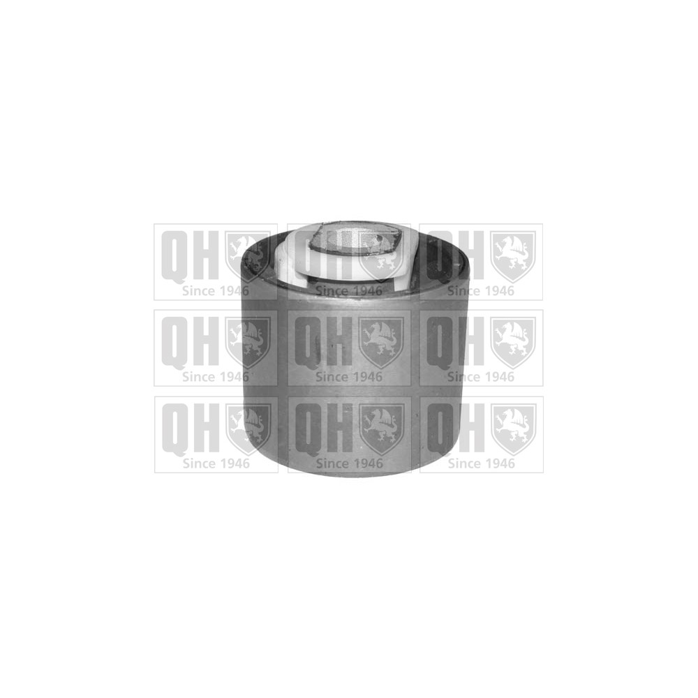 Image for QH EMS8033 Suspension Arm Bush - Front Lower LH & RH (Front)