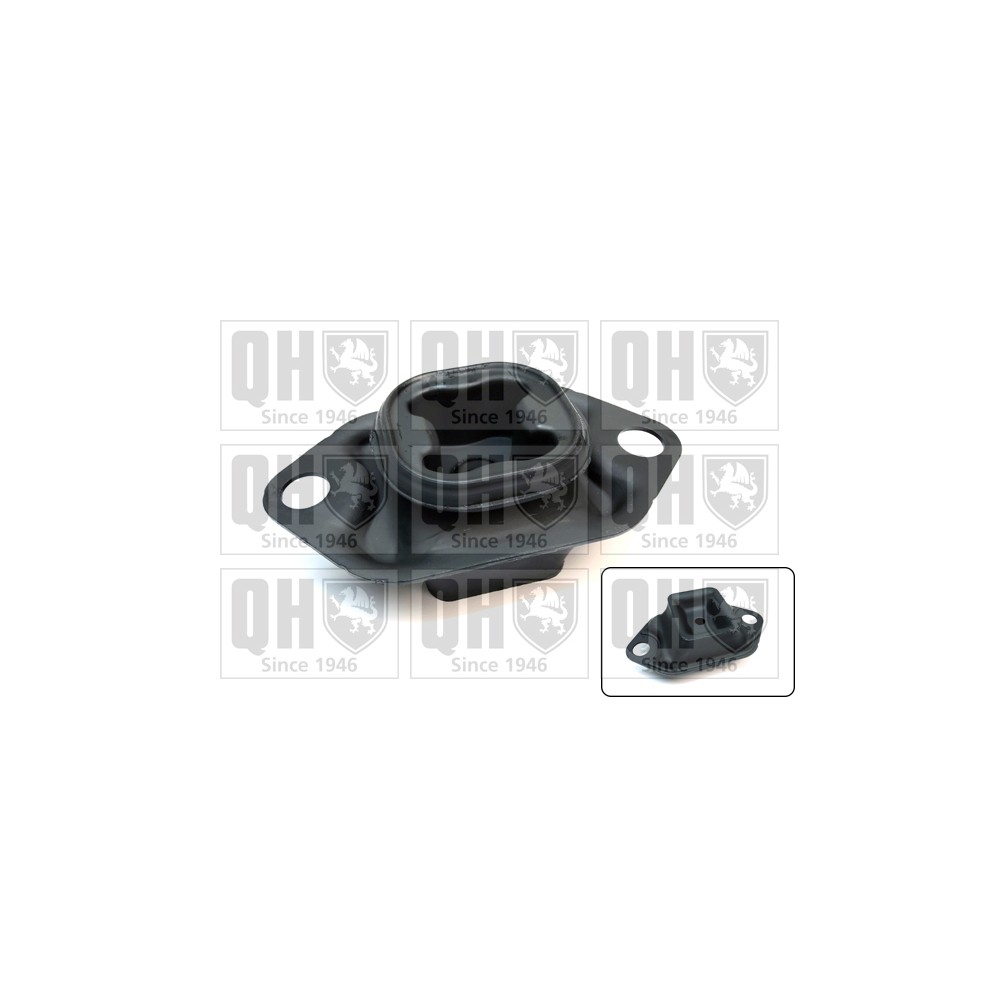 Image for QH EM4748 Engine Mounting