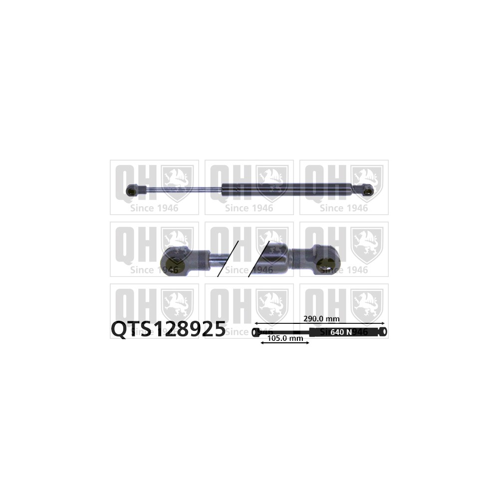 Image for QH QTS128925 Gas Spring