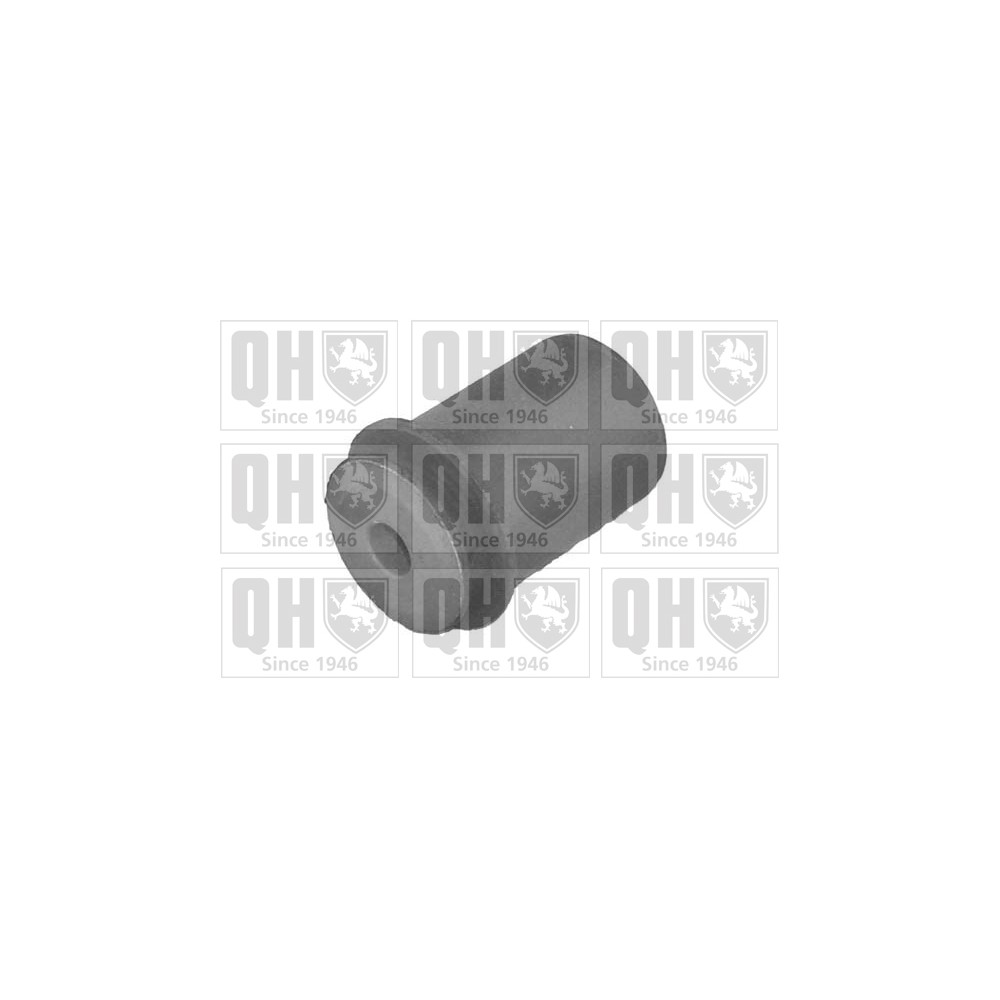 Image for QH EMS8073 Suspension Arm Bush - Front Lower LH & RH (Rear)