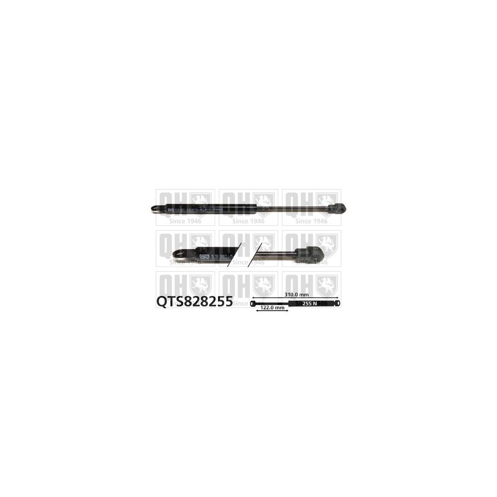 Image for QH QTS828255 Gas Spring