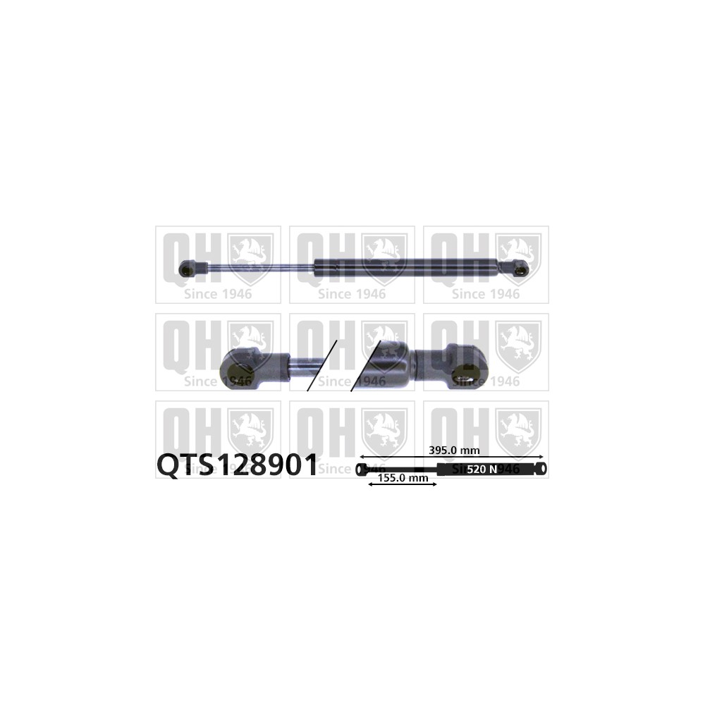 Image for QH QTS128901 Gas Spring