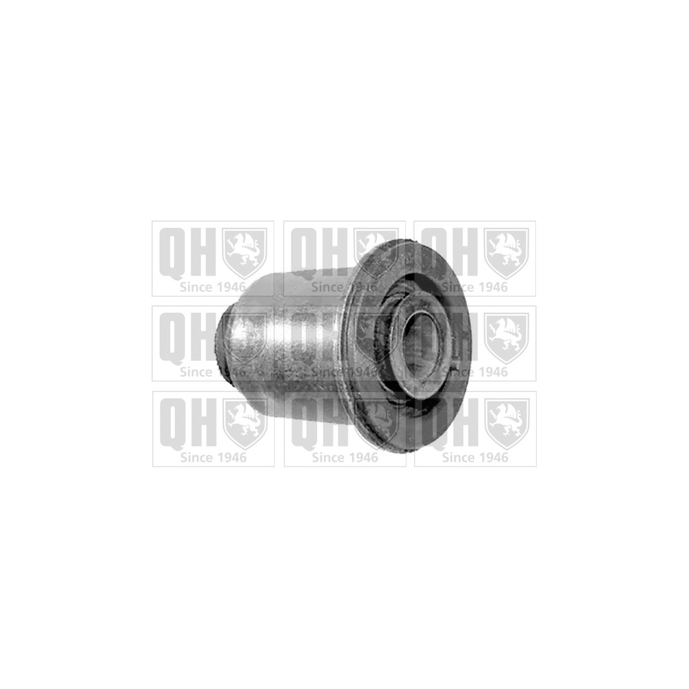 Image for QH EMS8299 Suspension Arm Bush - Front Lower LH & RH (Front)