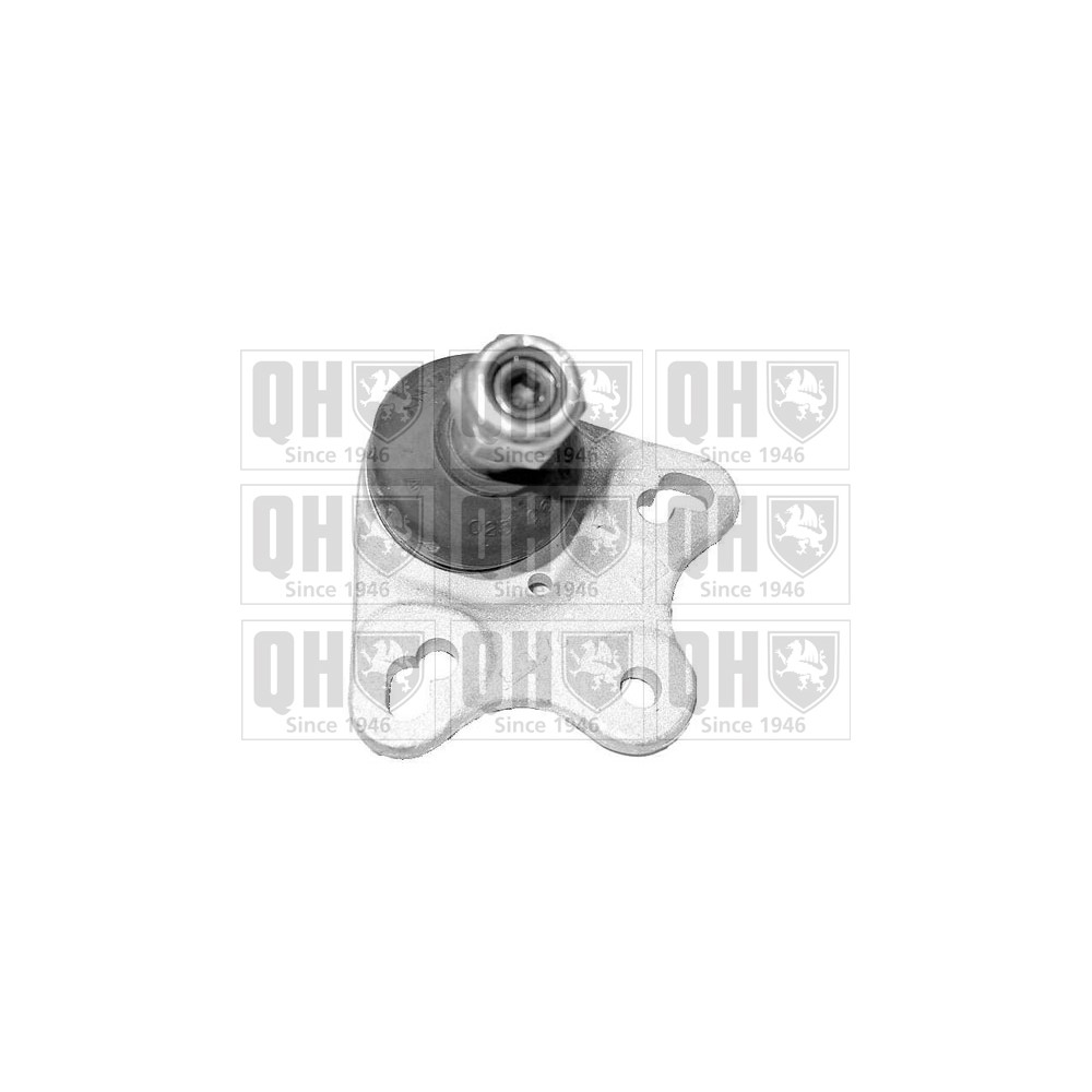 Image for QH QSJ1597S Ball Joint - Front Lower LH & RH