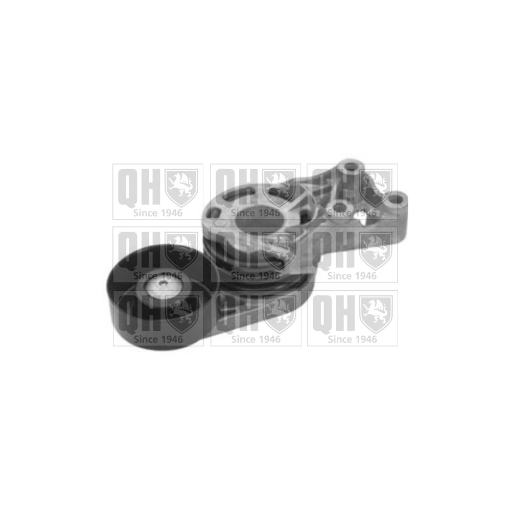 Image for QH QTA1348 DRIVE BELT TENSIONER