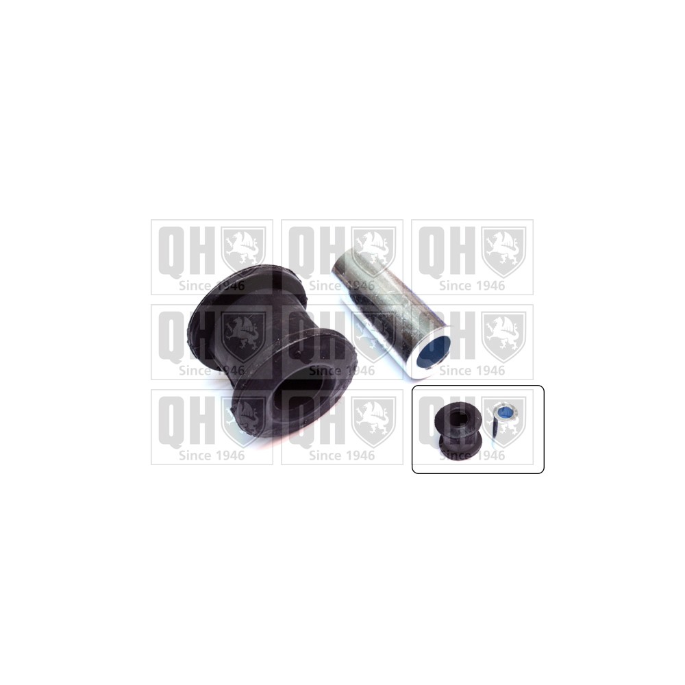 Image for QH EMS2696 Suspension Arm Bush - Front Lower LH & RH (Front)