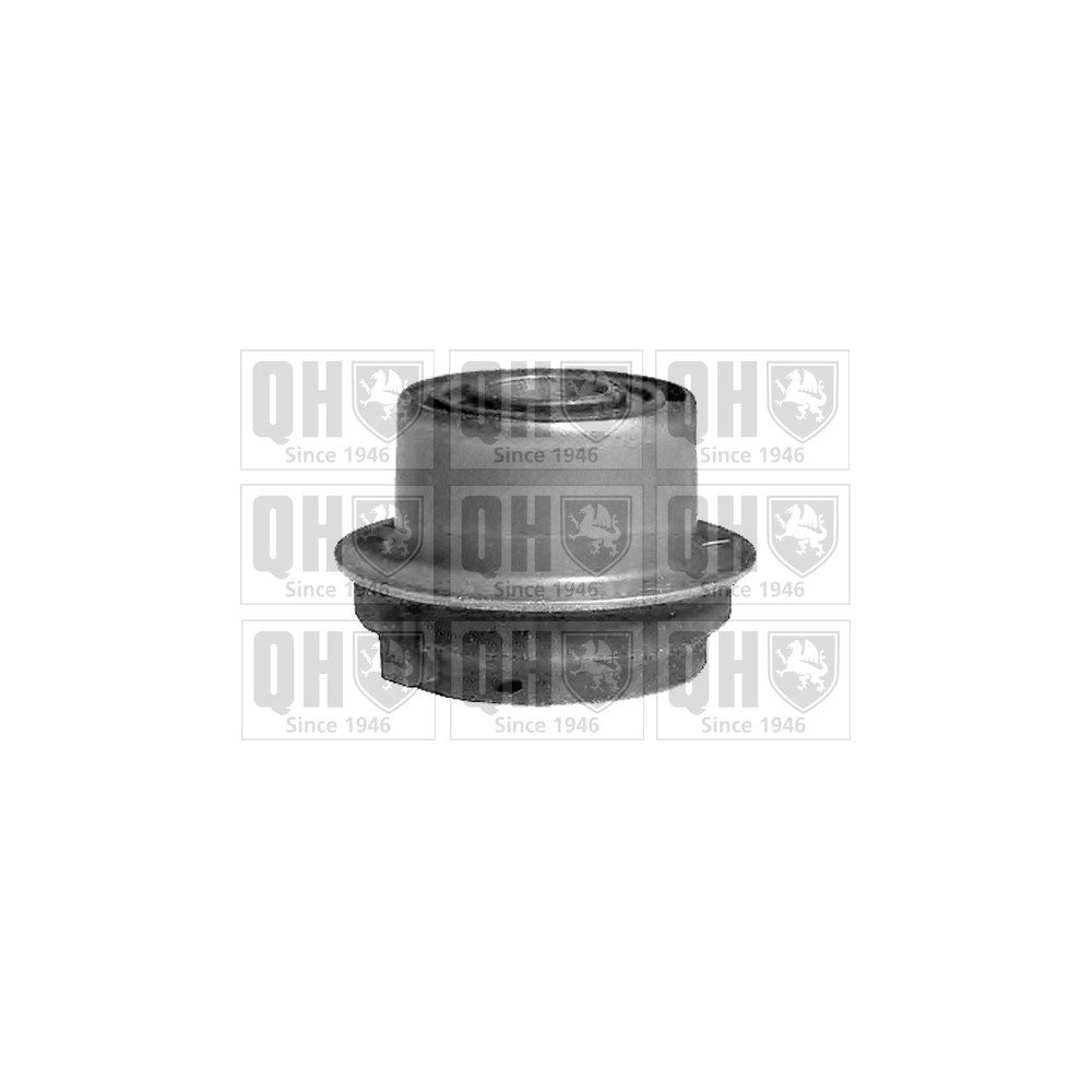 Image for QH EMS8262 Suspension Arm Bush - Front LH & RH (Front)