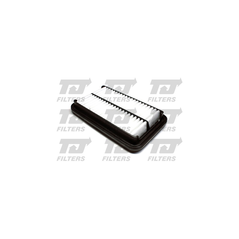 Image for TJ QFA0950 Air Filter