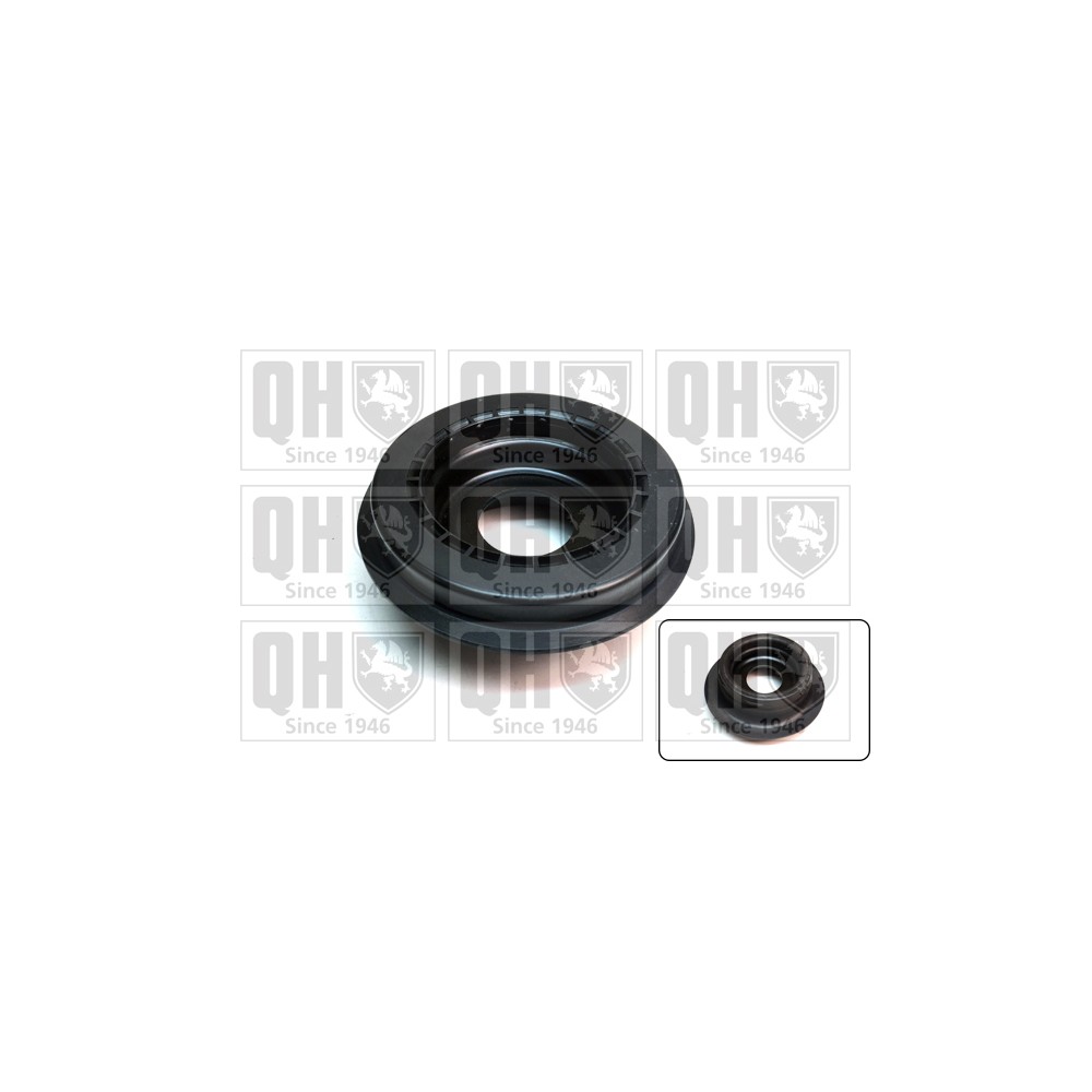 Image for QH QAM171 Top Strut Bearing