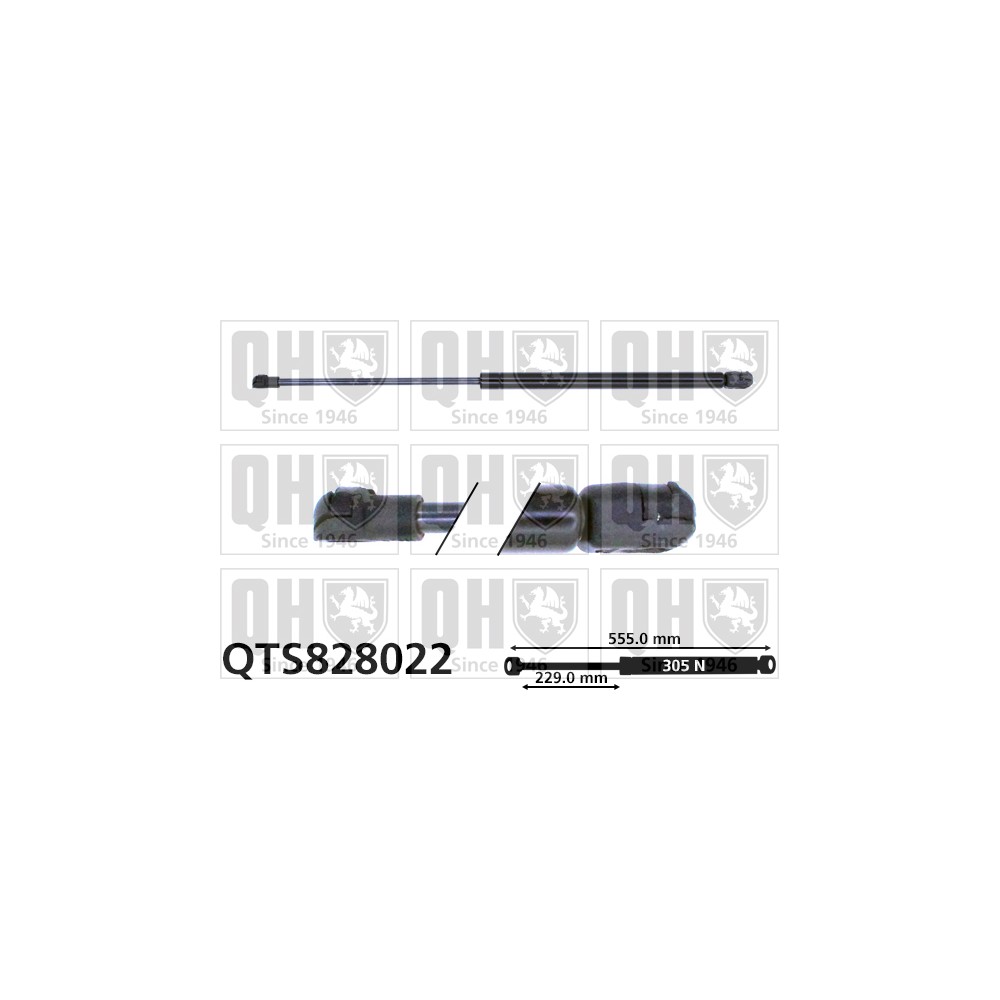 Image for QH QTS828022 Gas Spring