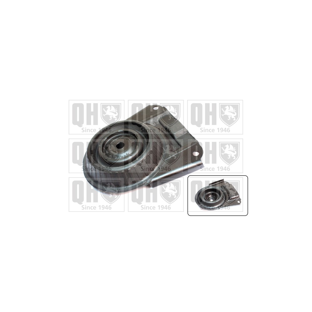 Image for QH EMR6025 Top Strut Mounting - Rear exc.Bearing LH & RH