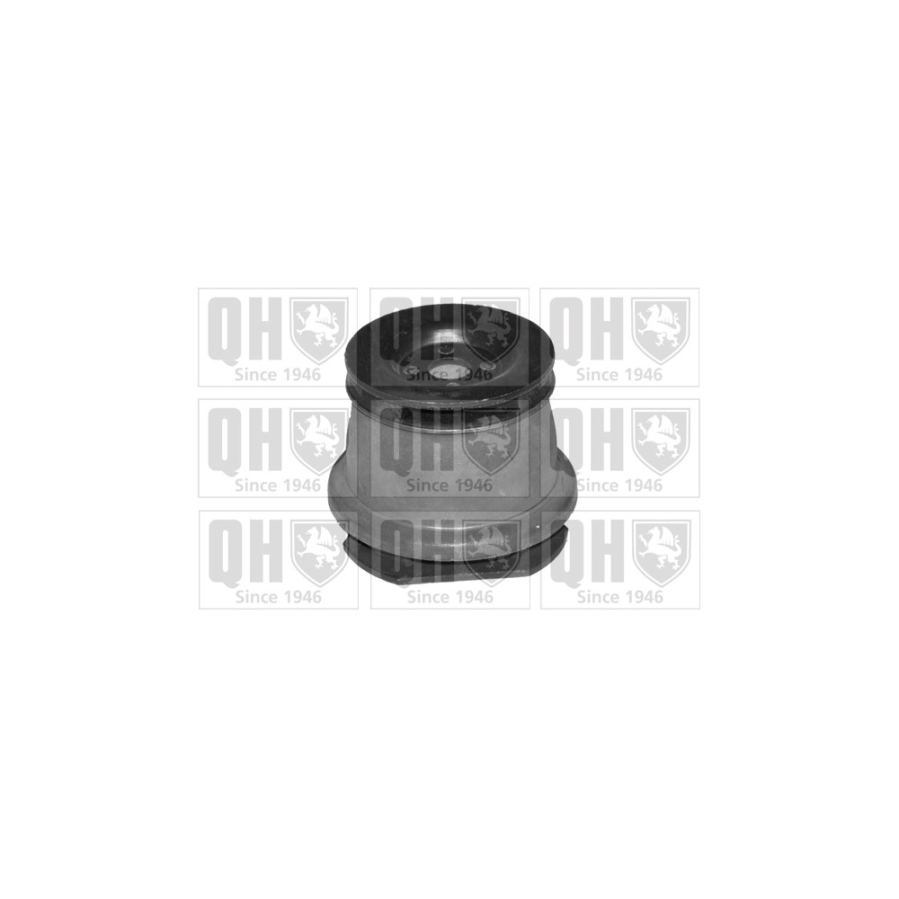 Image for QH EMS4092 Suspension Arm Bush - Rear Lower LH & RH (Rear)