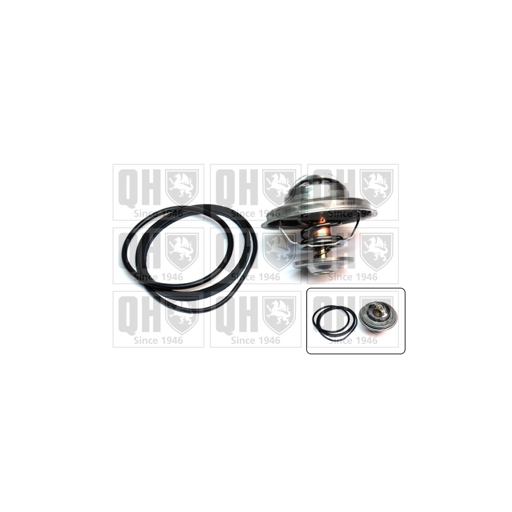 Image for QH QTH492K Thermostat Kit