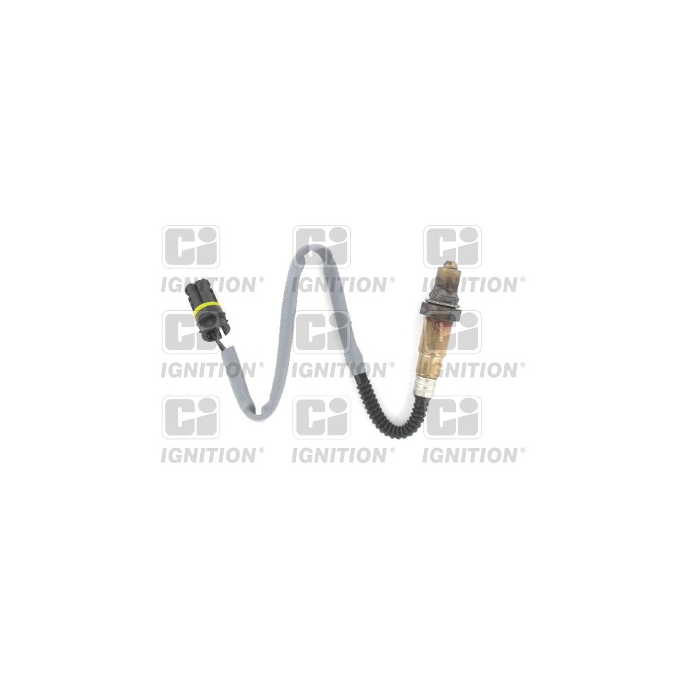 Image for Oxygen Sensor