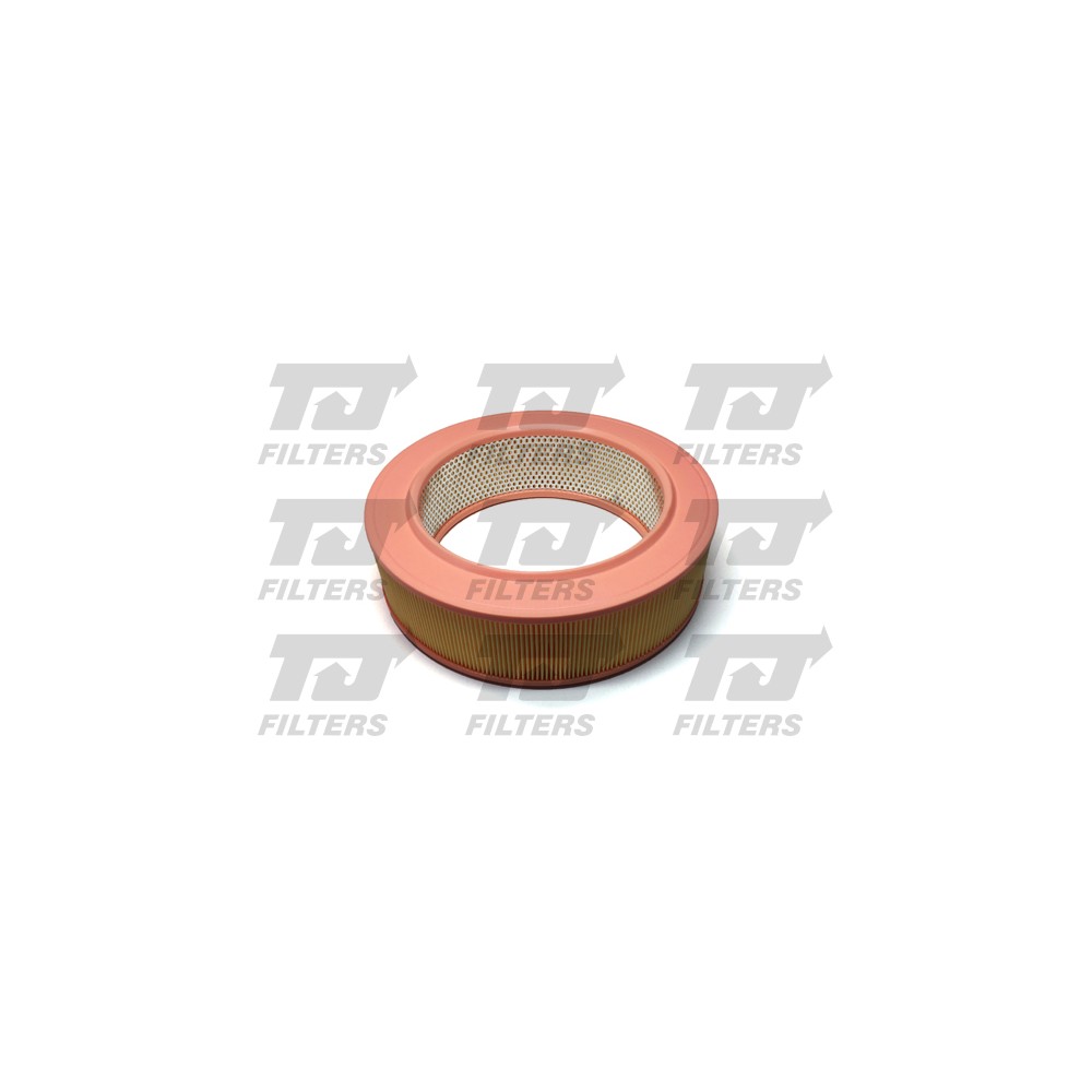 Image for TJ QFA0430 Air Filter