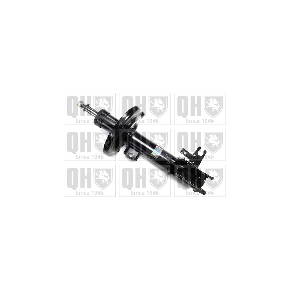 Image for QH QAG878009 Shock Absorber