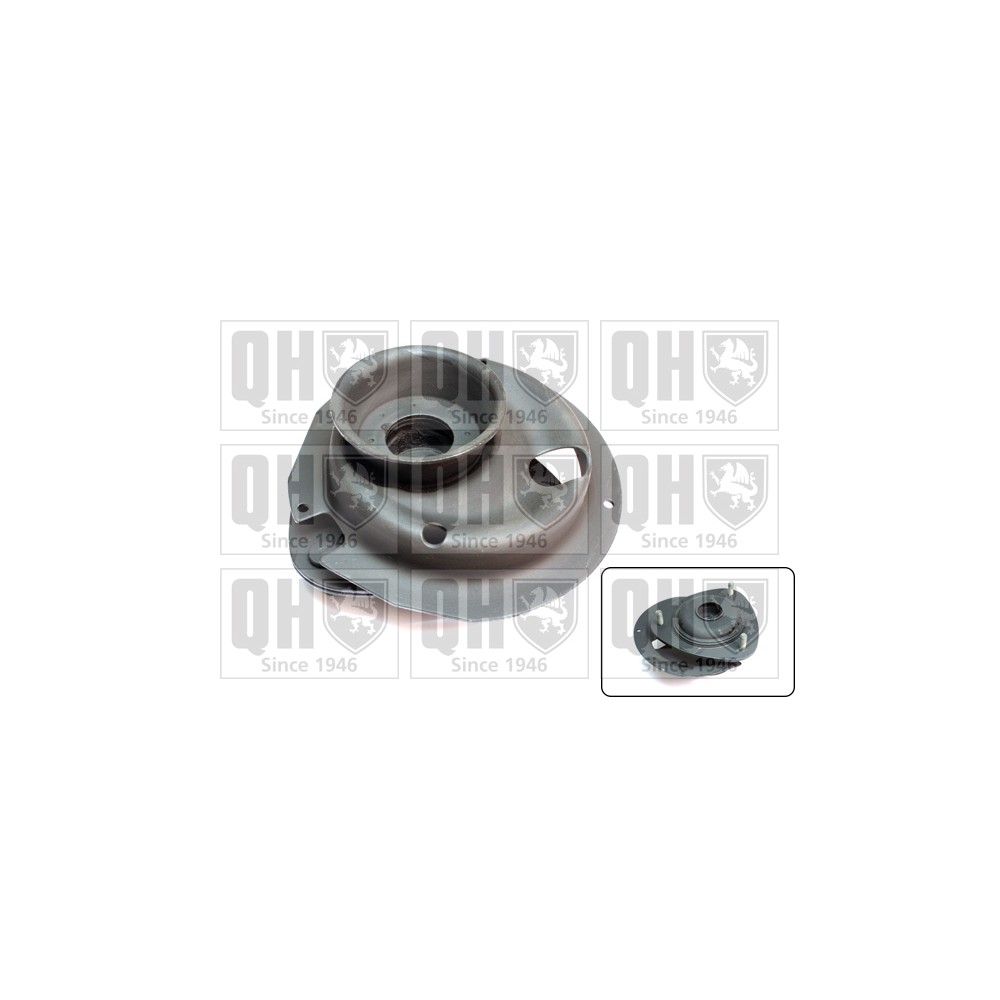 Image for QH EMR6055 Top Strut Mounting - Rear exc.Bearing LH