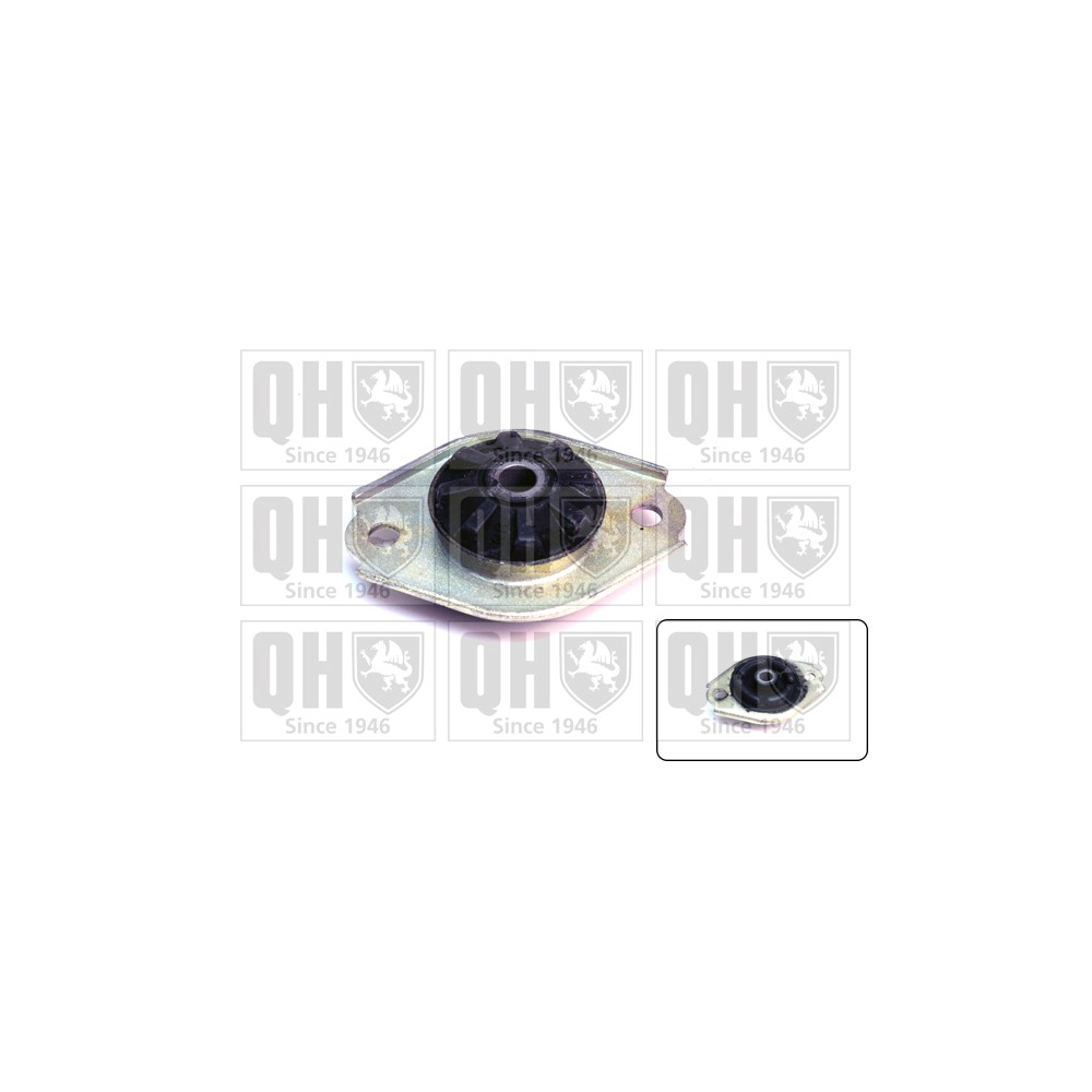 Image for QH EMR2221 Top Strut Mounting - Rear exc.Bearing LH & RH