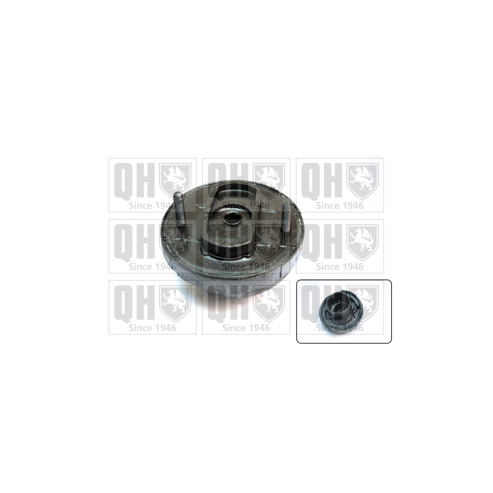 Image for QH EMR6008 Top Strut Mounting - Rear exc.Bearing LH & RH