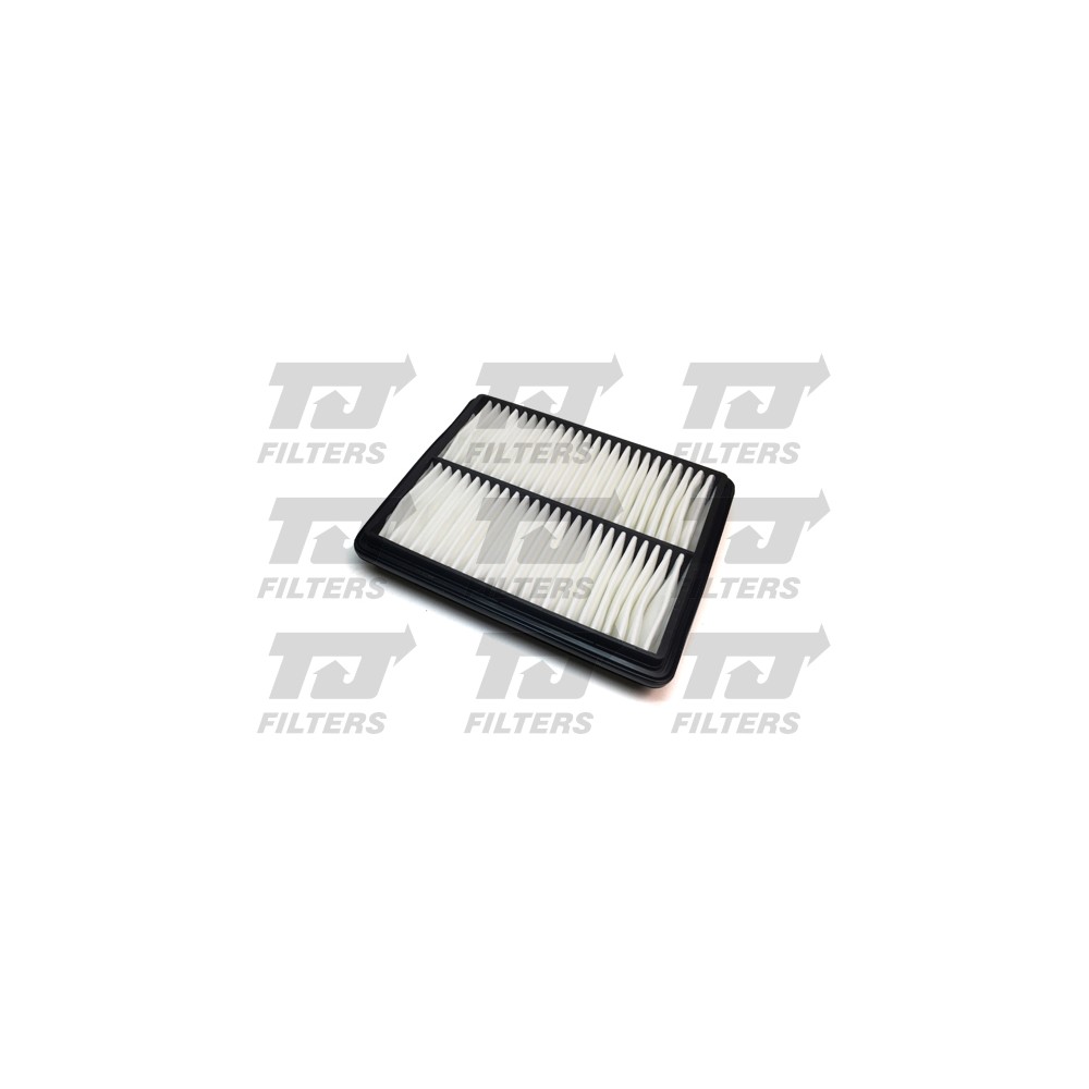 Image for TJ QFA0743 Air Filter