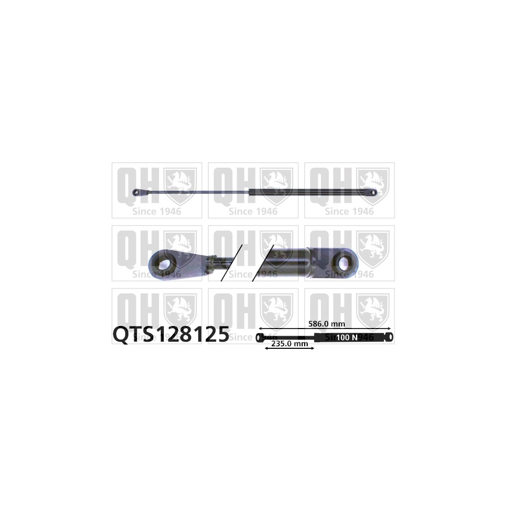 Image for QH QTS128125 Gas Spring