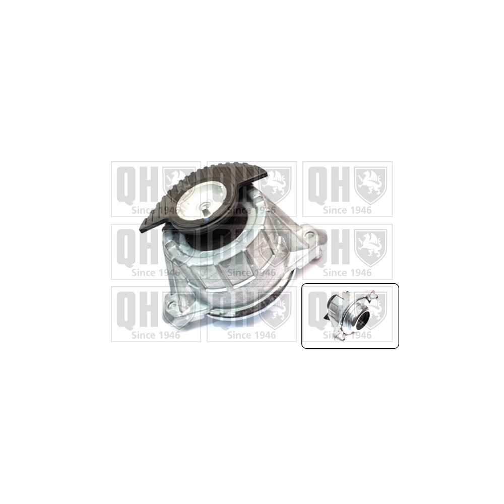 Image for QH EM4663 Engine Mounting