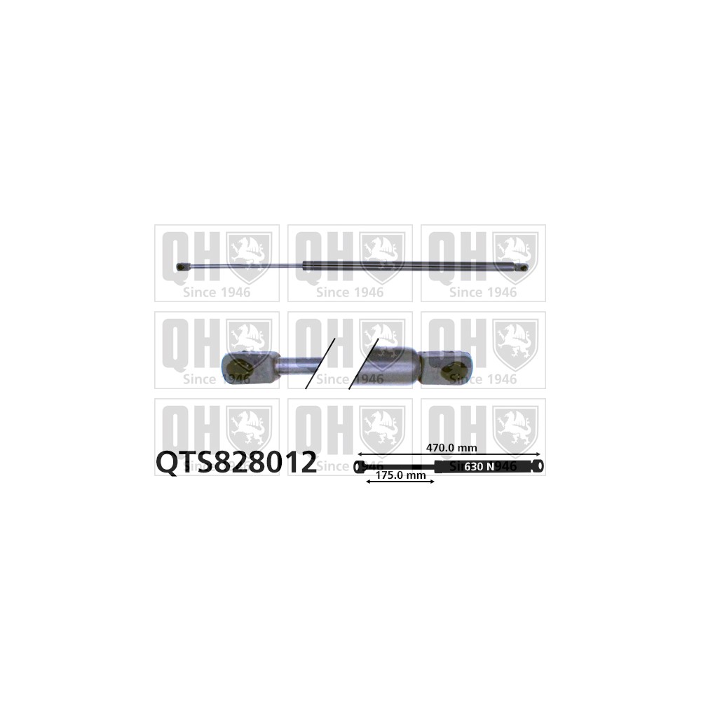 Image for QH QTS828012 Gas Spring