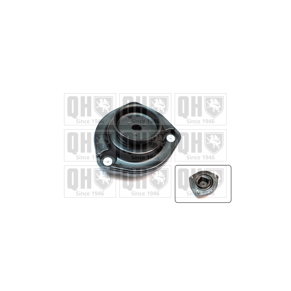 Image for QH EMR6033 Top Strut Mounting - Rear exc.Bearing LH & RH