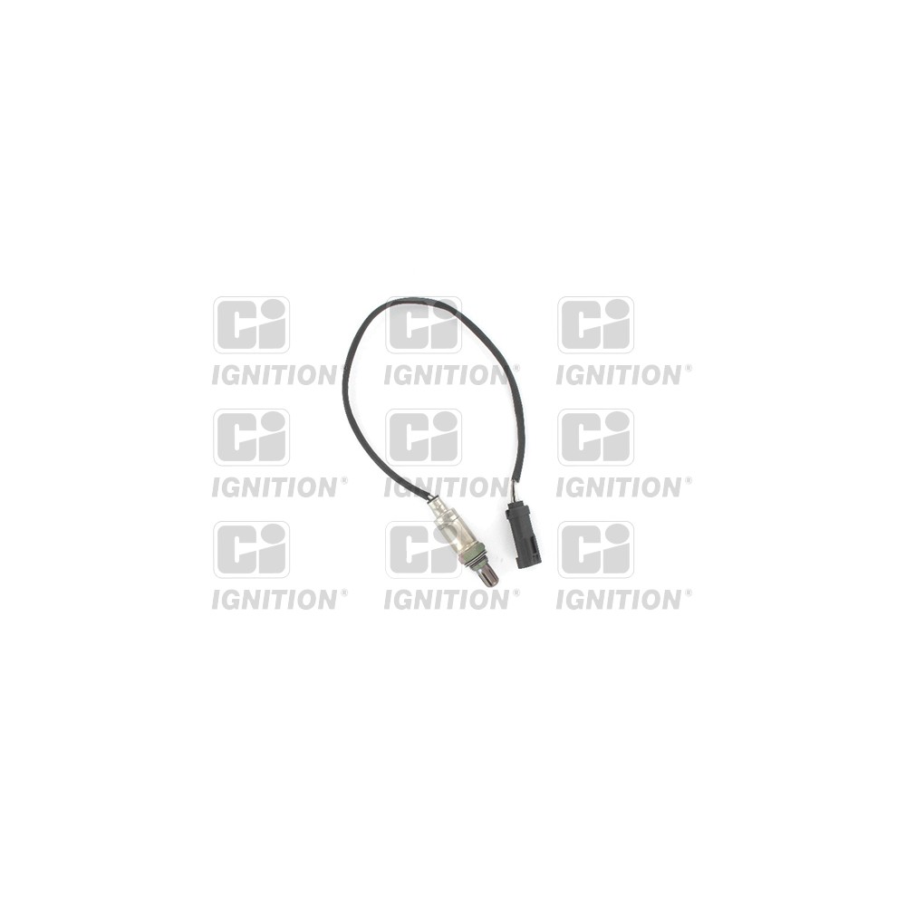 Image for Oxygen Sensor