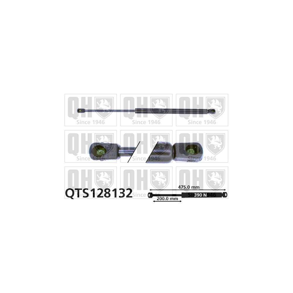 Image for QH QTS128132 Gas Spring