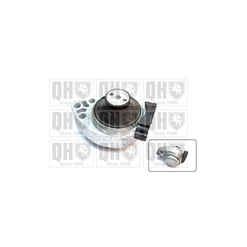 Image for QH EM4659 Engine Mounting