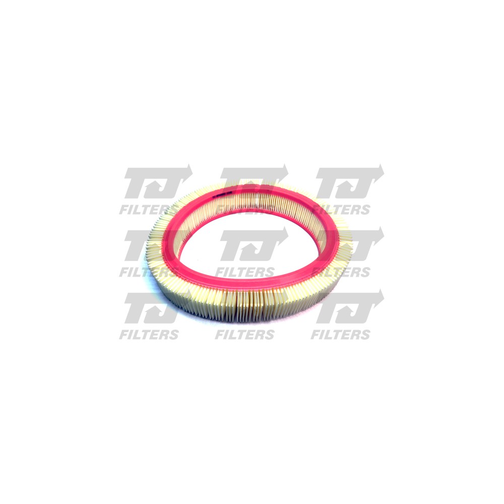 Image for TJ QFA0819 Air Filter