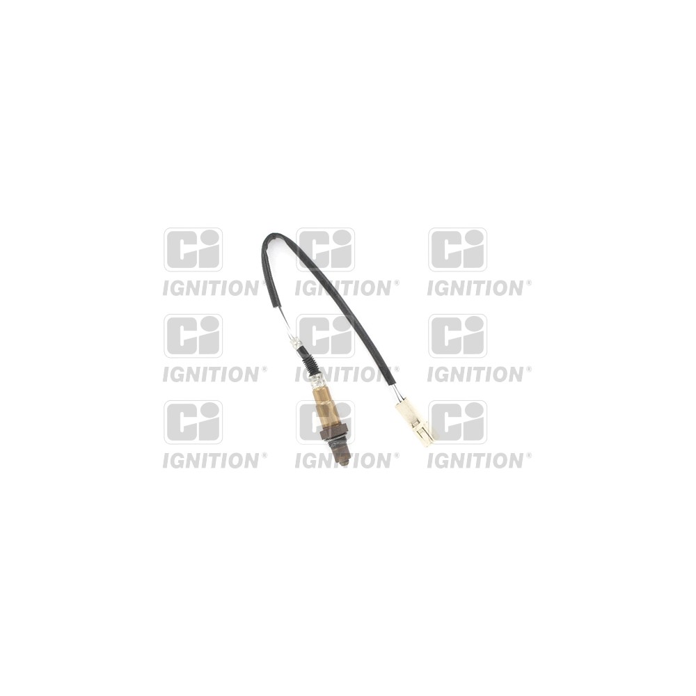 Image for Oxygen Sensor