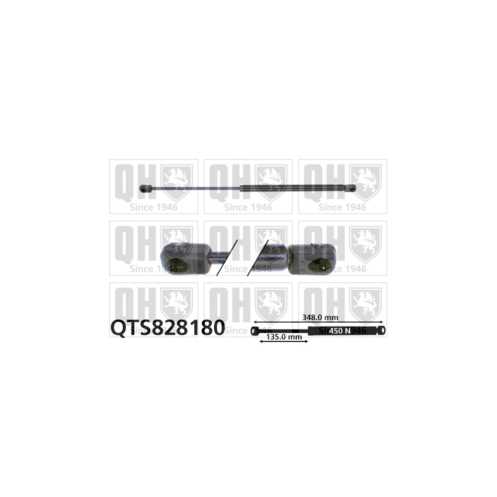 Image for QH QTS828180 Gas Spring