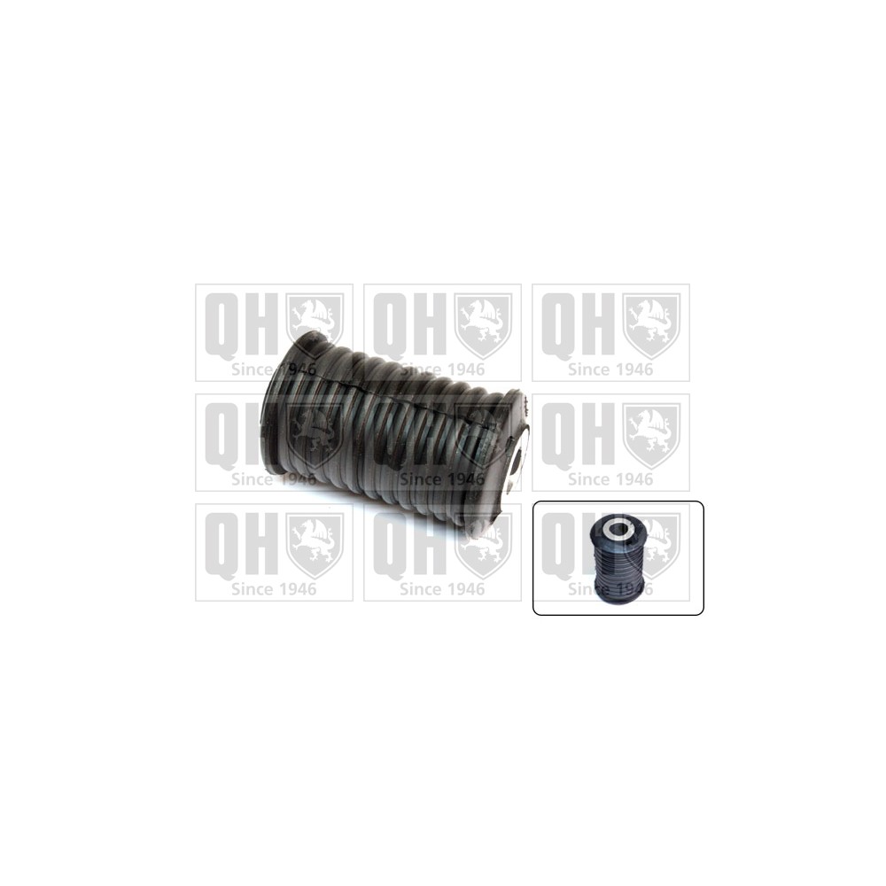 Image for QH EMS8494 Leaf Spring Bush - Rear