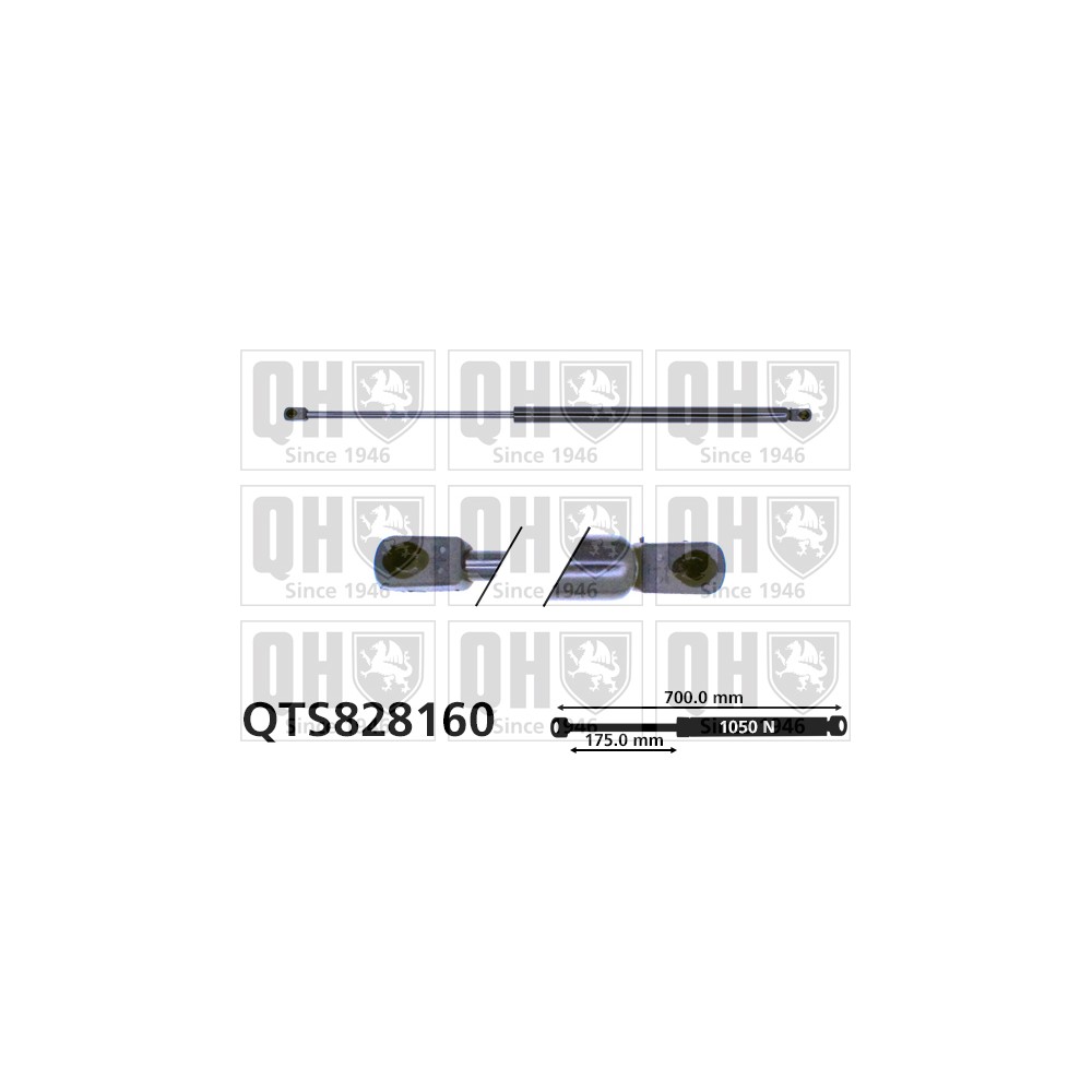 Image for QH QTS828160 Gas Spring