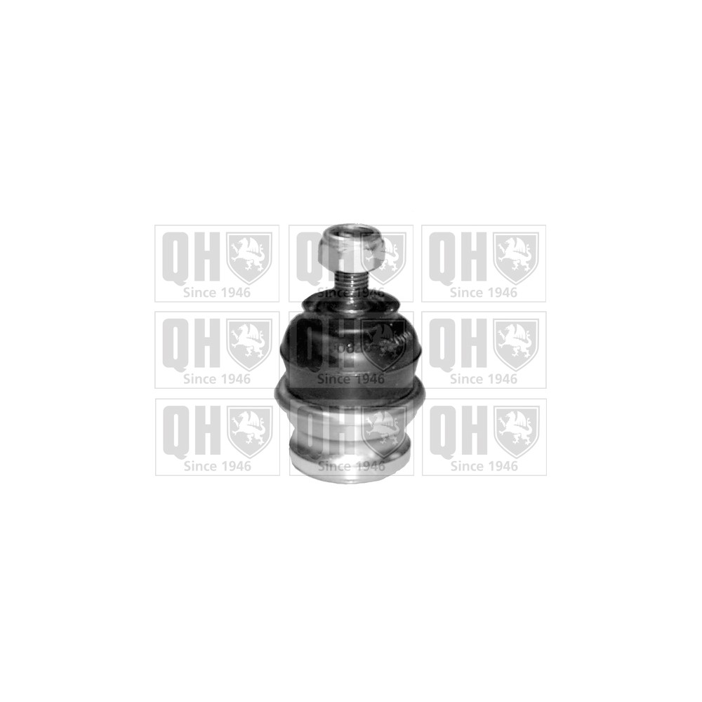 Image for QH QSJ1903S Ball Joint - Front Lower LH & RH