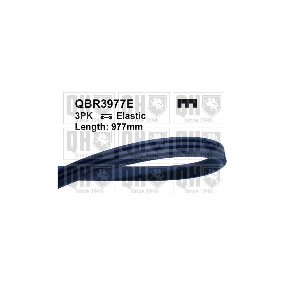 Image for QH QBR3977E Drive Belt