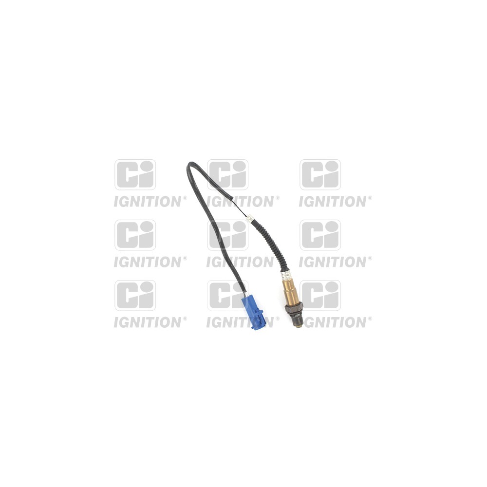 Image for Oxygen Sensor