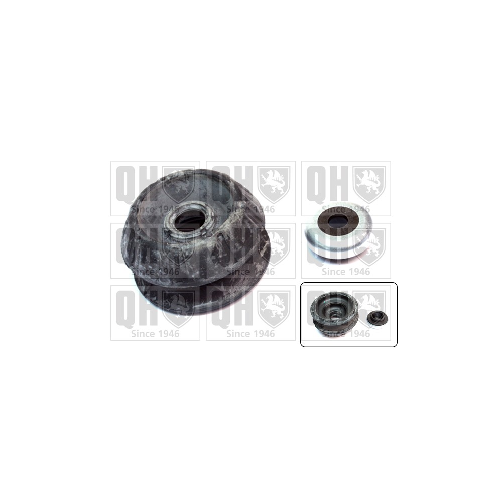 Image for QH EMA4979 Top Strut Mounting- inc Bearing