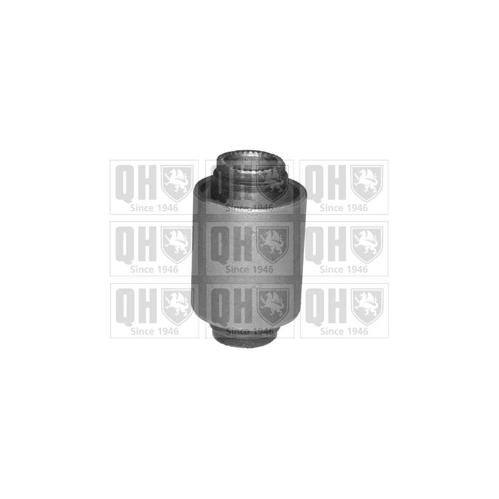 Image for QH EMS8074 Suspension Arm Bush - Front Lower LH & RH (Front)