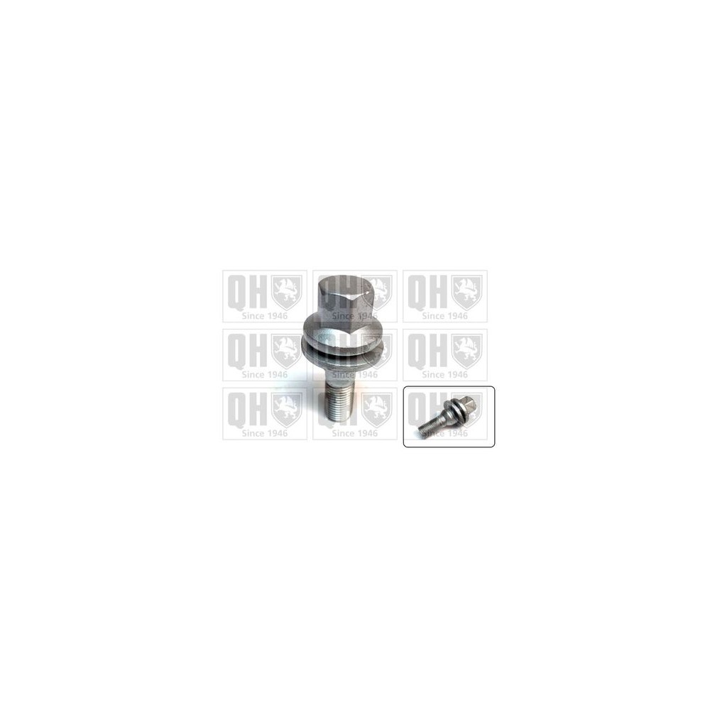 Image for Wheel Mounting Screw