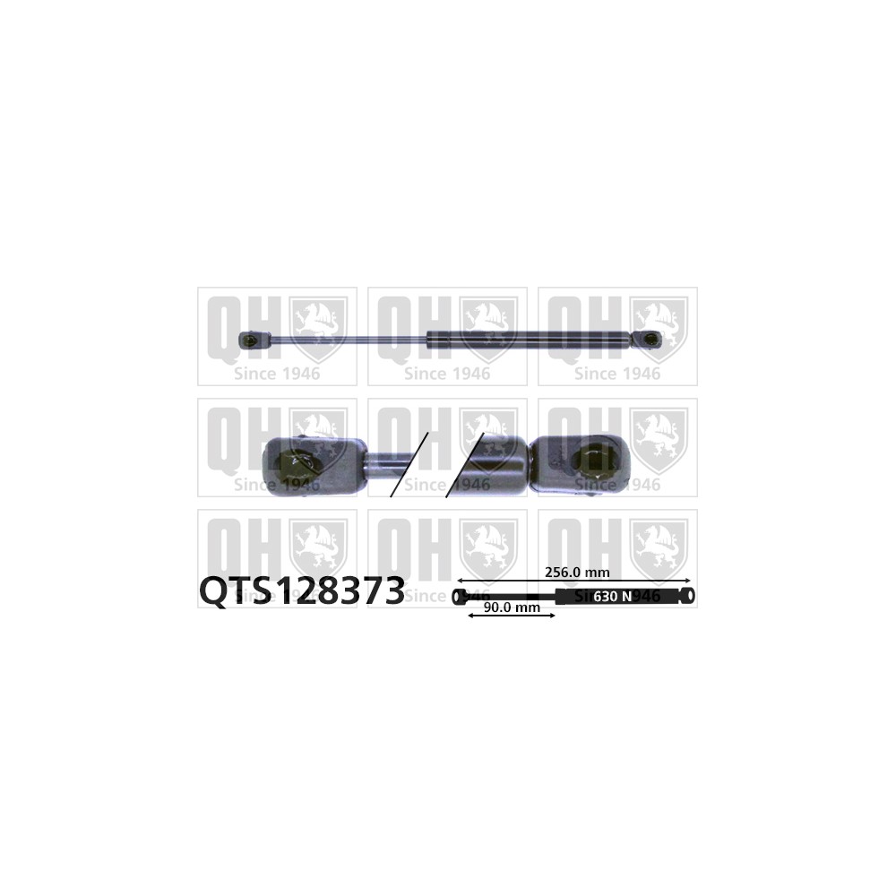 Image for QH QTS128373 Gas Spring