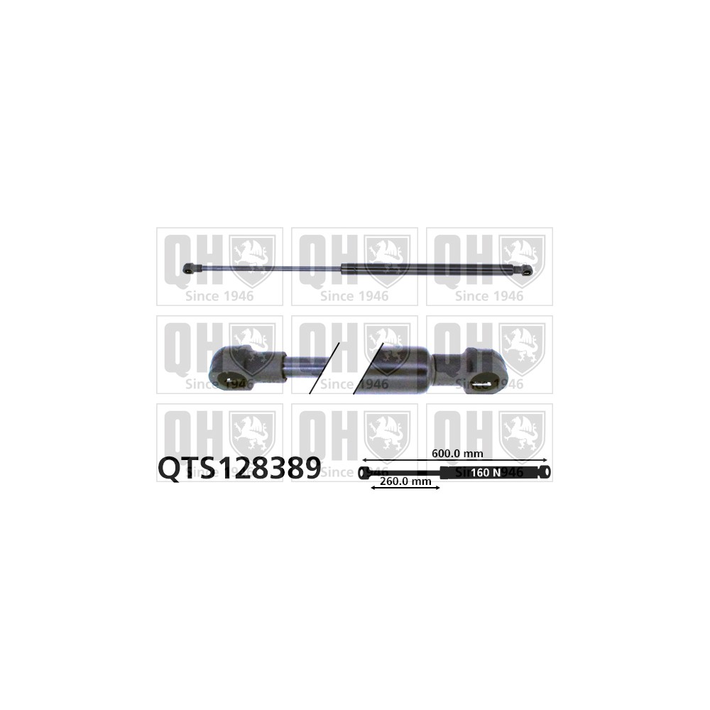 Image for QH QTS128389 Gas Spring