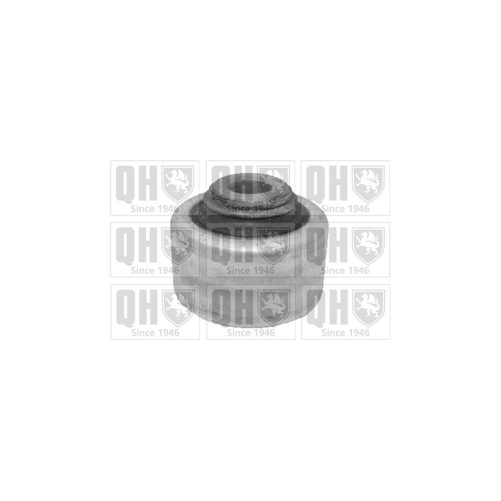 Image for QH EMS8471 Suspension Arm Bush - Front Lower LH & RH (Front)