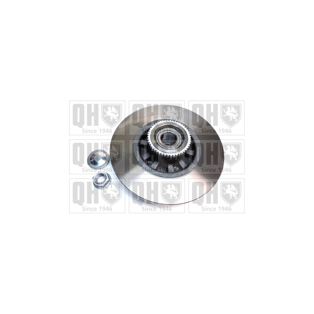 Image for QH BDC6095 Brake Disc with Bearing